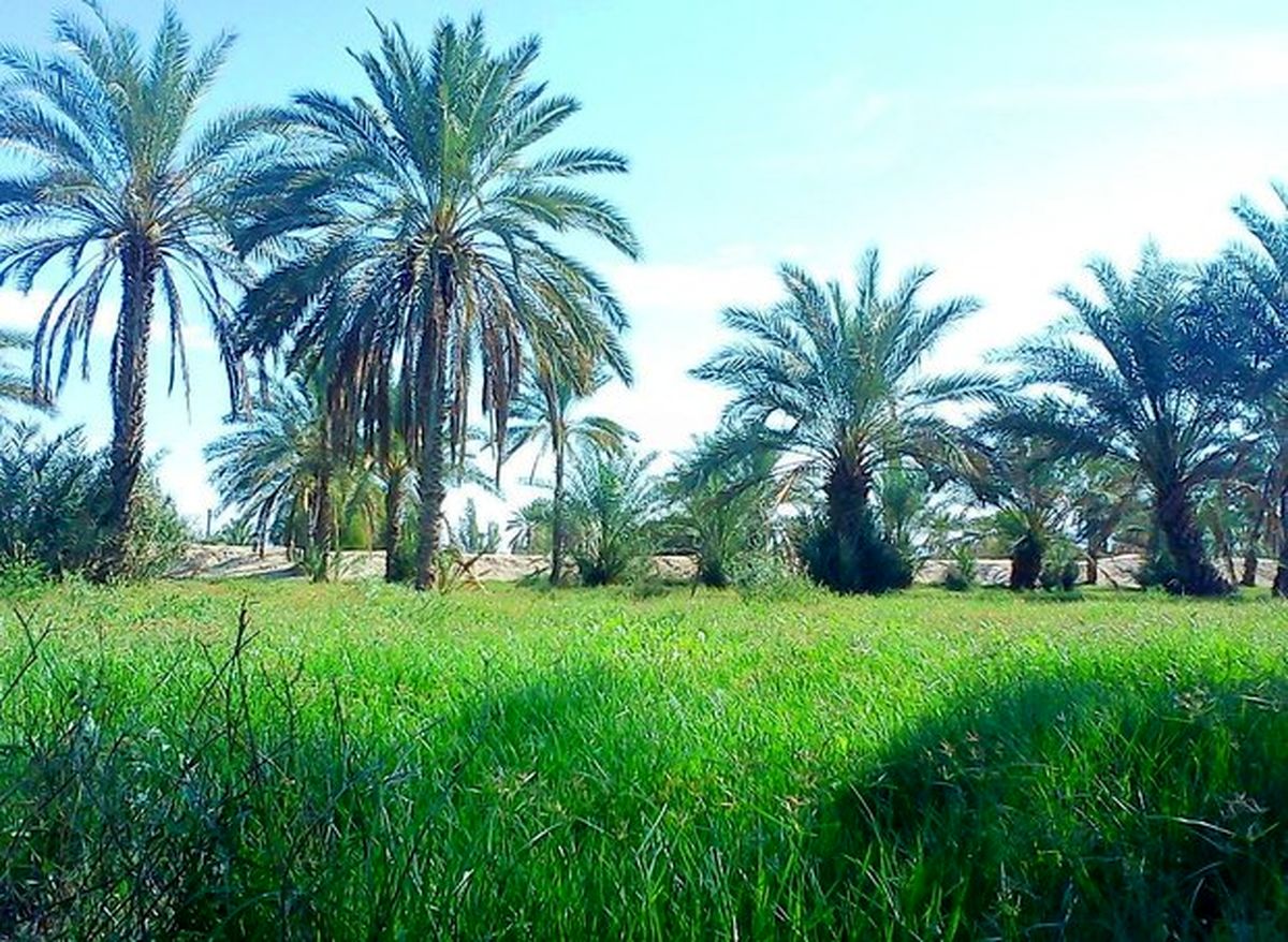 بحران آب در جهرم سایه افکند