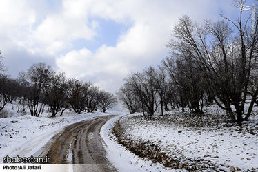 L3lJBVEn0Psl