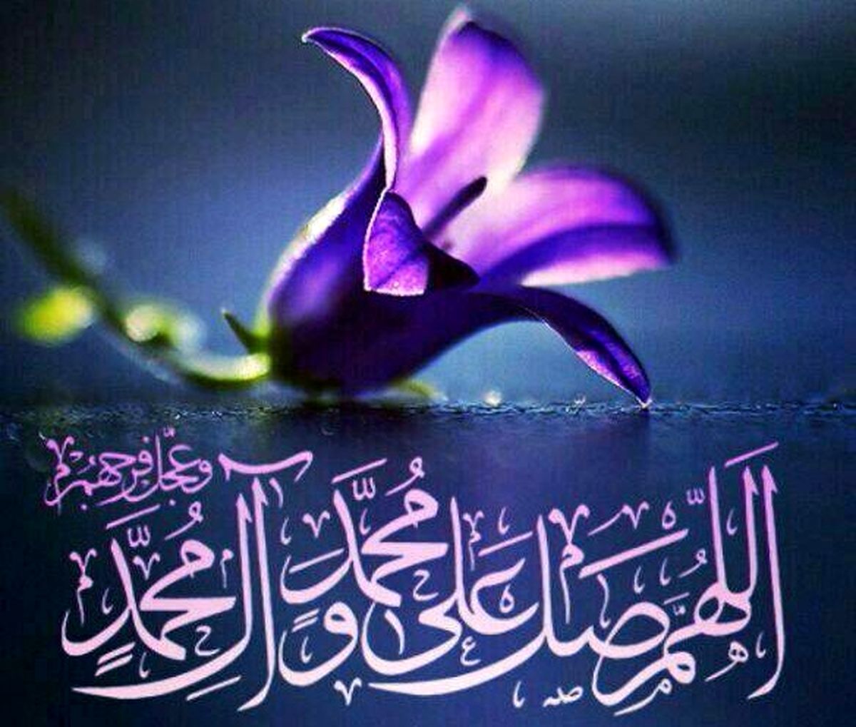 به گفته امام صادق(ع) ، این افراد در روز قیامت حسرت نخواهند خورد