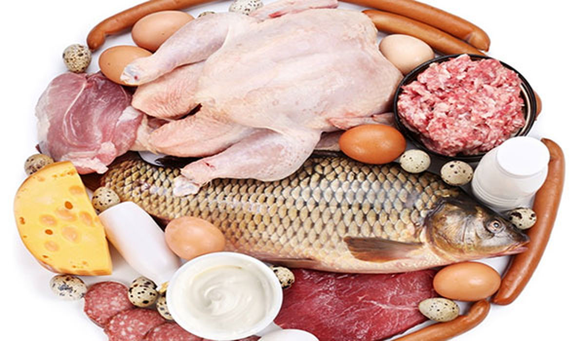 صنعت مرغ رو به سوی ورشکستگی است 