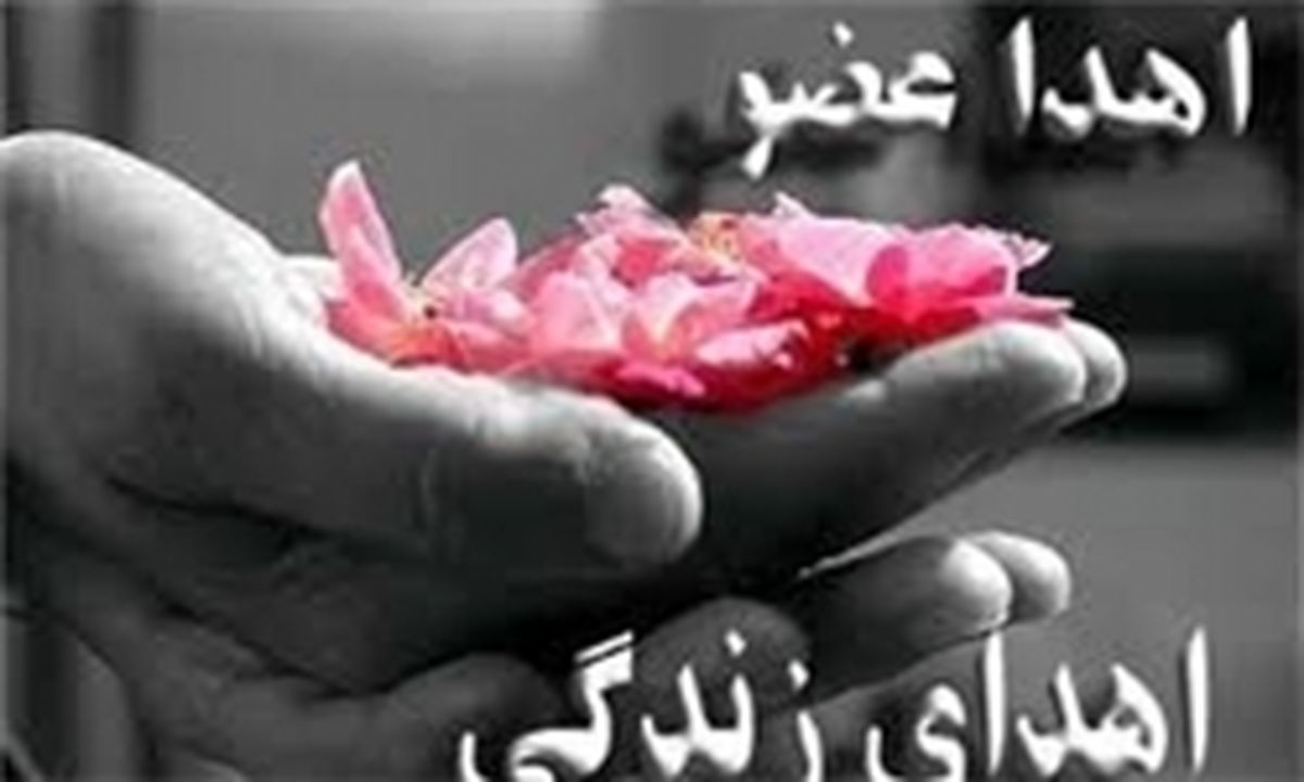 برگشتی برای مرگ مغزی وجود ندارد