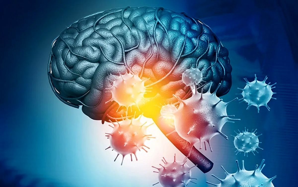 ویروس کرونا قشر خاکستری مغز را تغییر می‌دهد
