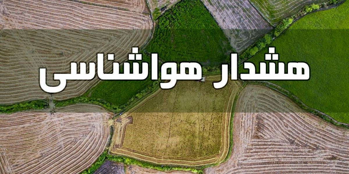 هشدارهای یخ زدگی مزارع به زعفران کاران
