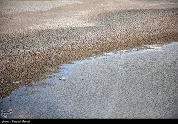 image22