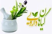 استفاده از داروهای گیاهی آری یا نه؟
