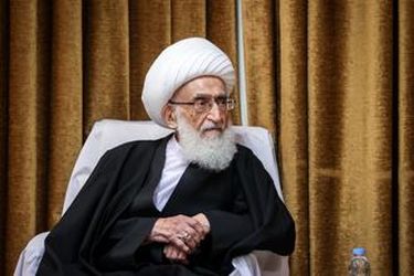 دیدار رئیس مجلس شورای اسلامی با مراجع عظام تقلید در قم/گزارش تصویری