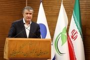 باید سهم برق هسته‌ای در سبد انرژی کشور را به ۲۰ درصد برسانیم