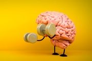 چه کنیم تا آلزایمر سراغ ما نیاید؟