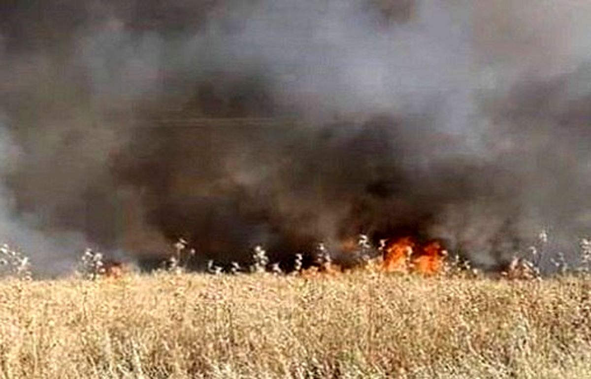 آمریکا مزارع سوریه را به آتش کشید

