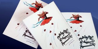 کتاب «می‌خواهم شبیه تو باشم» خاطرات شهید کولیوند رونمایی شد