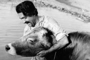 «گاو» مهرجویی در افتتاحیه جشنواره فیلم‌های ایرانی در زوریخ