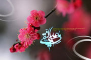 زیباترین تصاویر ویژه ولادت امام هادی(ع)/ گزارش تصویری
