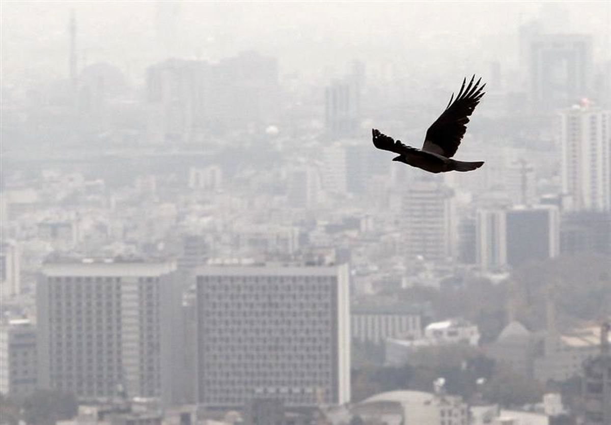 تاثیر زلزله تهران بر معاملات مسکن