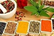 چرا در بدن سنگ به وجود می آید؟