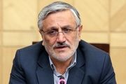 میرزایی‌نکو: فکر نکنیم با تصویب CFT همه چیز گل و بلبل خواهد شد