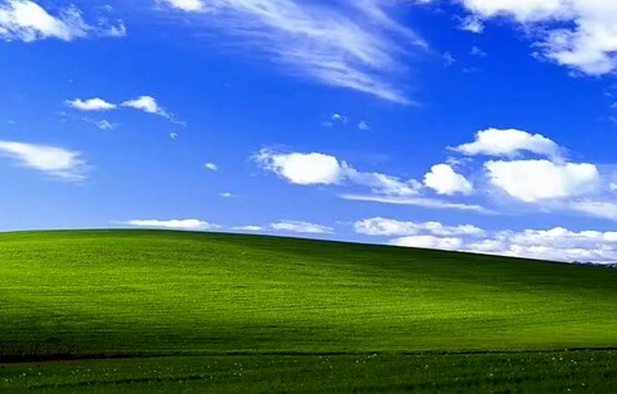 سرنوشت غم‌انگیزمشهور ترین تصویر «ویندوز XP» 