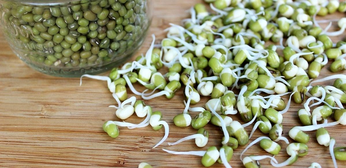 کنترل قند، فشار و چربی خون، با این گیاه خوشمزه