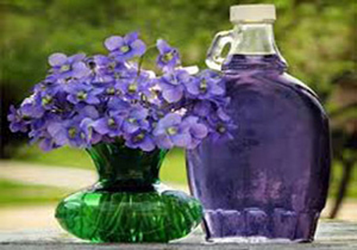 عرقیاتی که در فصل سرما، ما را گرم می‌کند