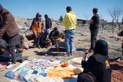 آغاز به کار رسمی پخش «رویش» با نمایش «هیچکس منتظرت نیست»