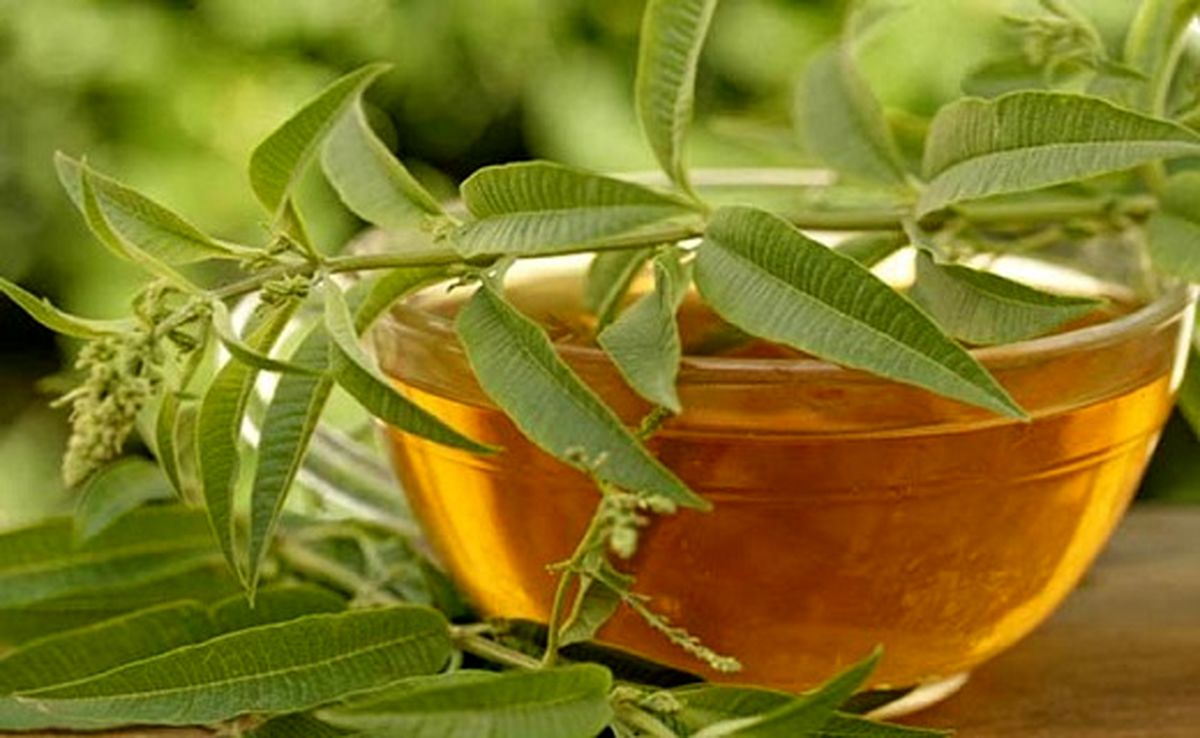 موثرترین نسخه خانگی برای لاغری/ شربتی که شما را خوش‌اندام می‌کند