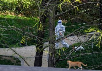 اعزام ۲۰۰۰ پزشک چینی برای کمک به شانگهای کرونا زده