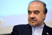 سلطانی فر: با حضور بانوان در استادیوم های ورزشی موافق هستیم