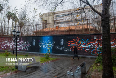 62883177_Javad-Mirhosseini-6609