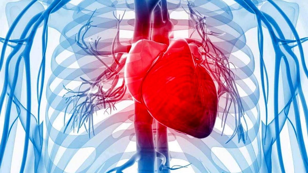 سابقه ناباروری با افزایش خطر نارسایی قلبی مرتبط است
