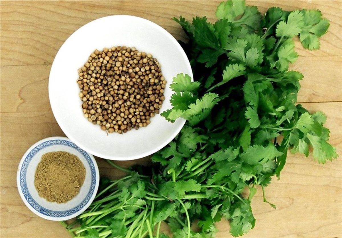 یک سبزی این همه فایده!