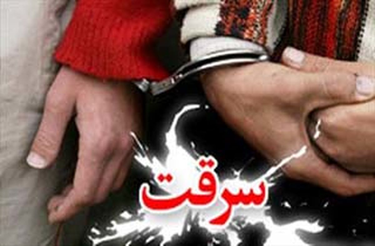 
دستگیری بیش از 20 سارق و کشف 230 فقره سرقت
