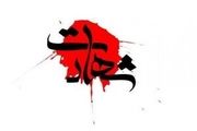 شهادت مأمور ناجا در تاسوعای حسینی در شادگان