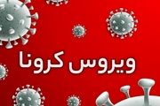 تست‌های PCR ملاک کافی برای اثبات ابتلا اُمیکرون نیست
