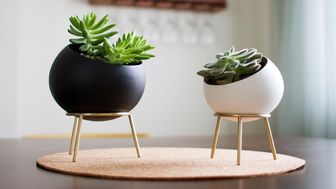 هزینه خرید گلدان چقدر است؟