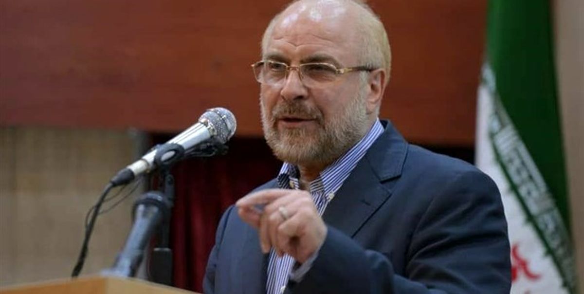 رئیس مجلس: وظیفه مجلس است که دولت را وادار به کار کند