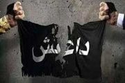 دستگیری یک عضو داعش در آلمان
