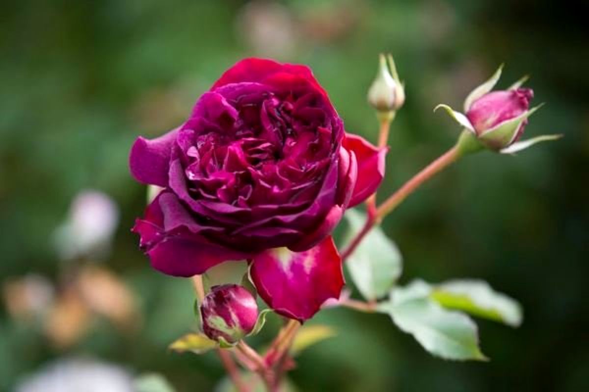 
6 کار ساده‌ای که حال بدتان را خوب می‌کند