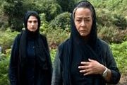 رونمایی از پوستر «ماه در جنگل» یک روز قبل از اکران/عکس