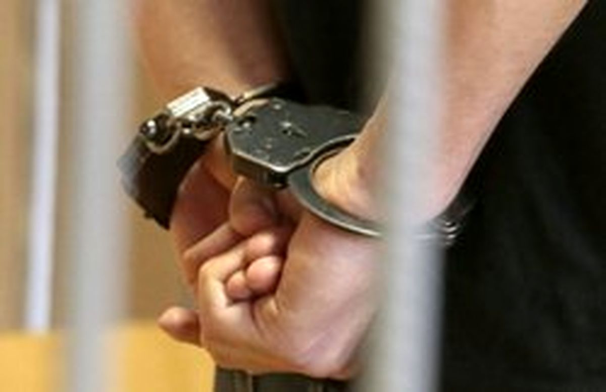جزئیات بازگرداندن یکی از مفسدان اقتصادی به کشور