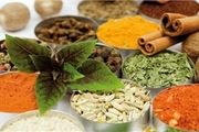 درمان بیماری‌های صعب‌العلاج با داروهای سنتی