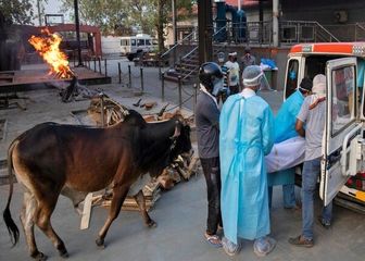 شمار قربانیان کرونا در هند از مرز ۳۰۰ هزار نفر گذشت