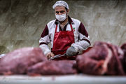 گره کور گرانی گوشت قرمز کجاست؟