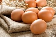 خوراکی هایی که نباید آنها را بشورید