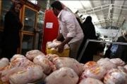 قیمت جوجه یکروزه به ۵۸۰۰ تومان رسید