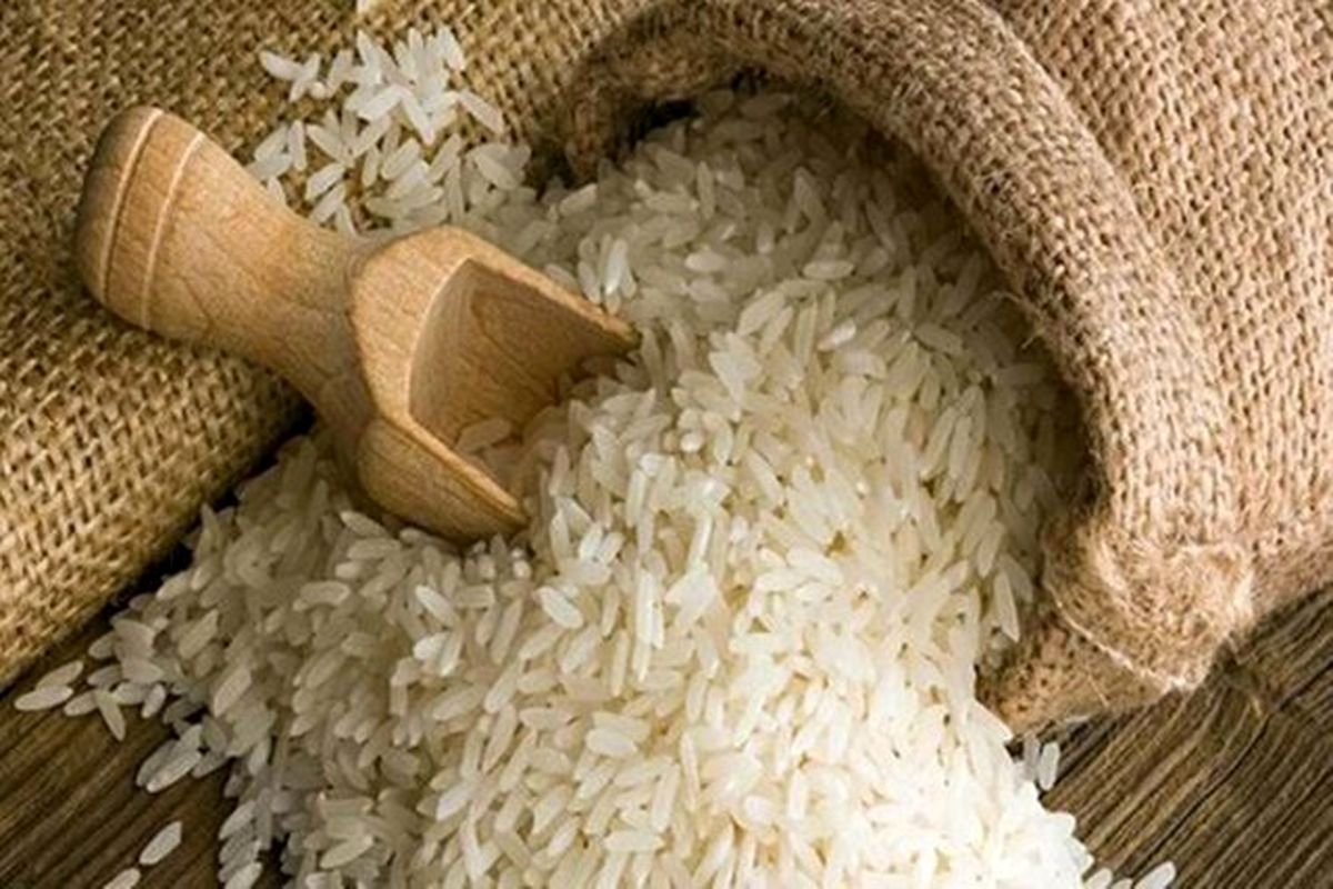 واردات برنج تا اطلاع ثانوی ممنوع شد

