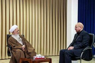 دیدار رئیس مجلس شورای اسلامی با مراجع عظام تقلید در قم/گزارش تصویری