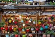ماسوله نگین گردشگری ایران/ گزارش تصویری 