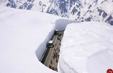 6125