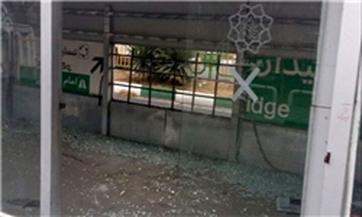 خانه دوچرخه ای که خانه گربه ها شده است!+ عکس