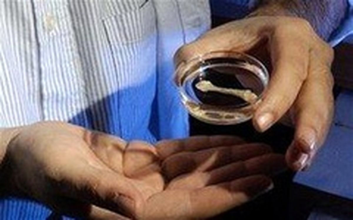 ساخت استخوان انسان باسلولهای چربی