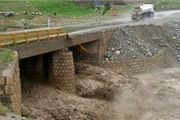 سیل با گذشت 8 روز همچنان می تازد